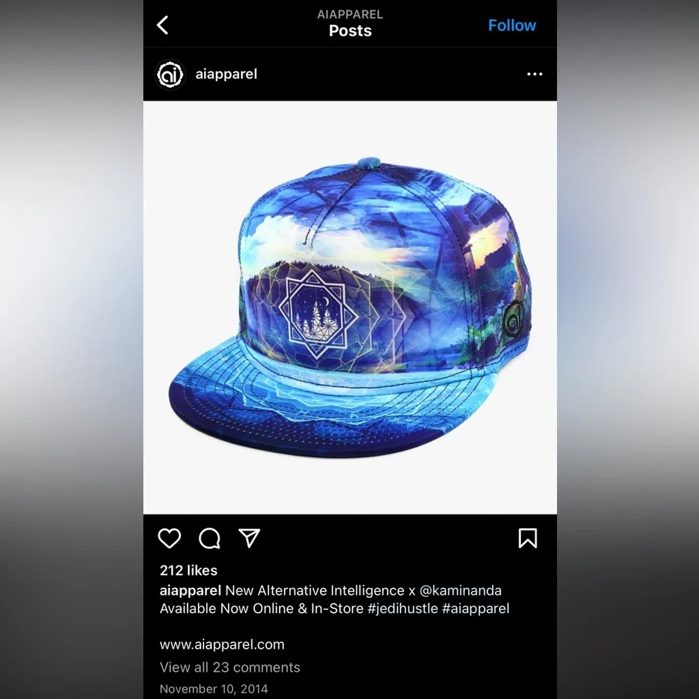 Alternative Intelligence x Kaminanda SnapBack - Picture 9 of 9